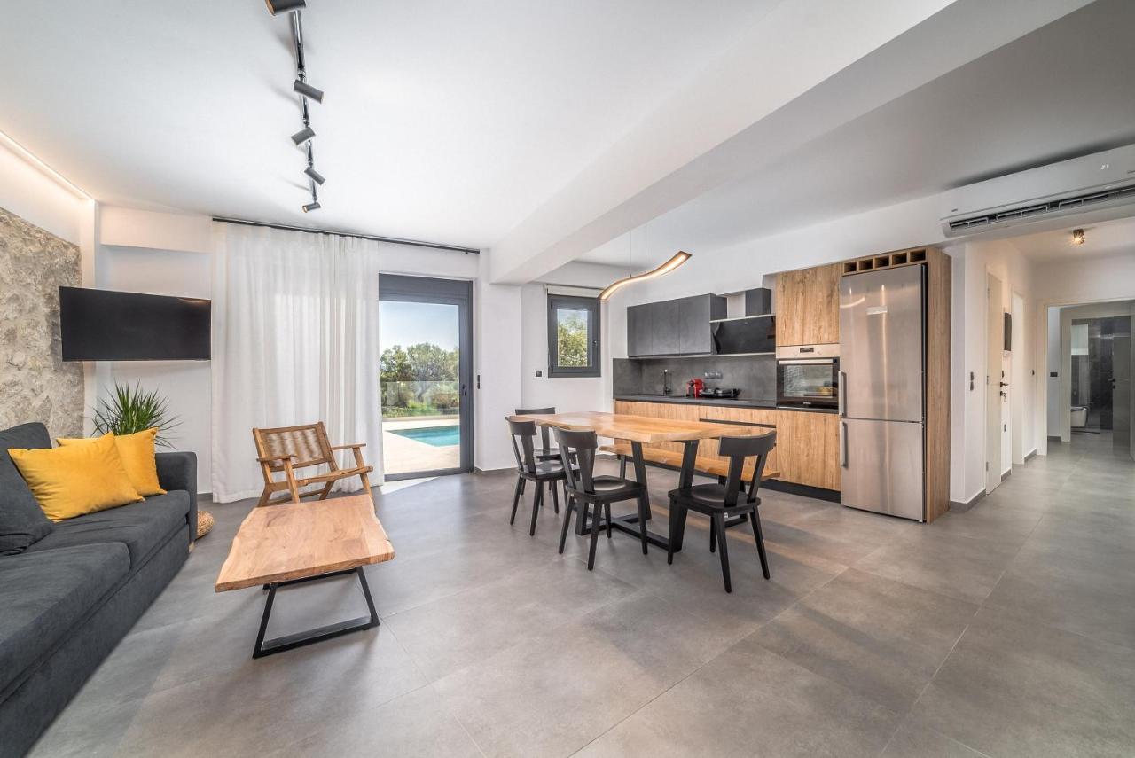 Nemesis Luxury Villas Apolpaina Экстерьер фото